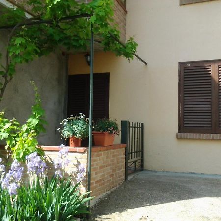 Appartamento In Collina "La Perla" Riparbella Εξωτερικό φωτογραφία